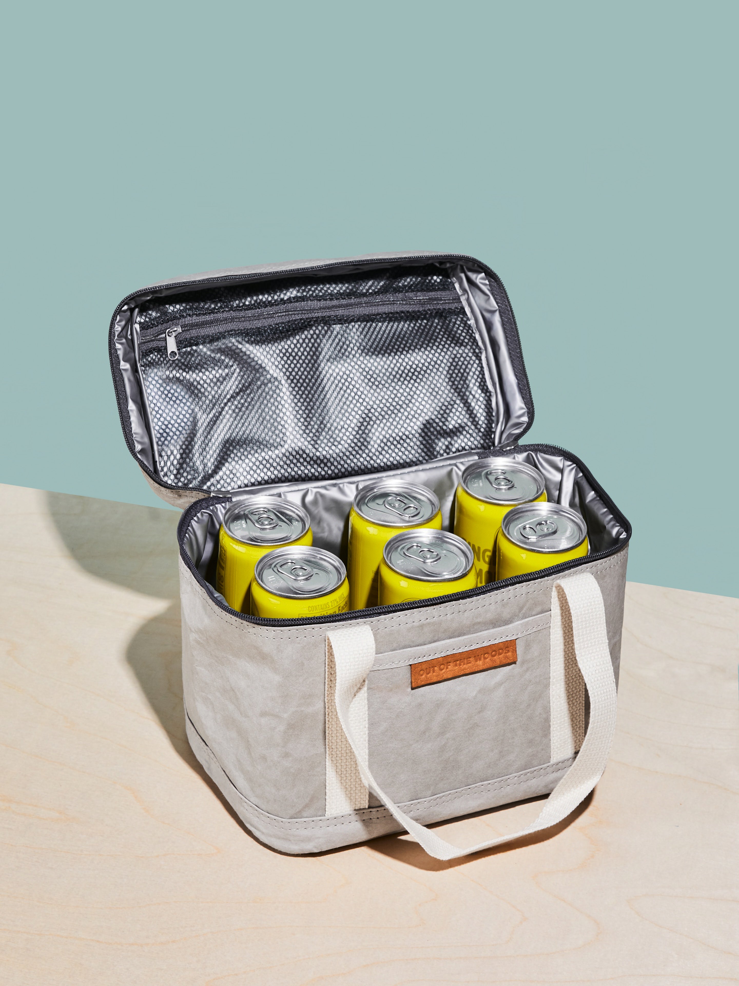 Mini cheap lunch cooler