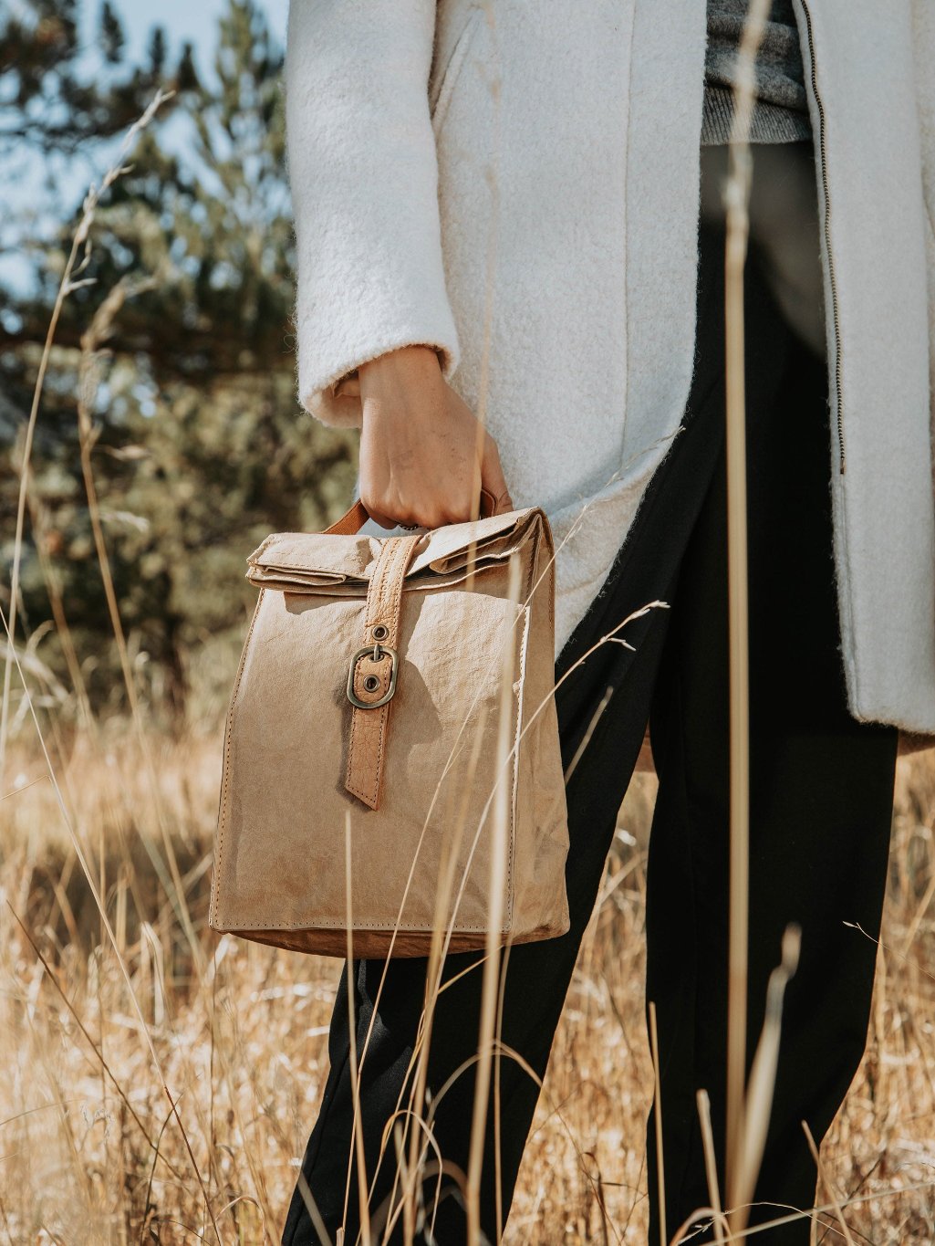 Paper bag best sale style lunch bag